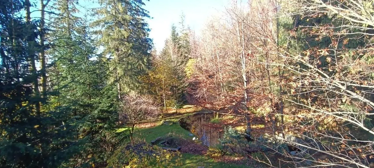 Domek Raj Zakopane Alpstuga