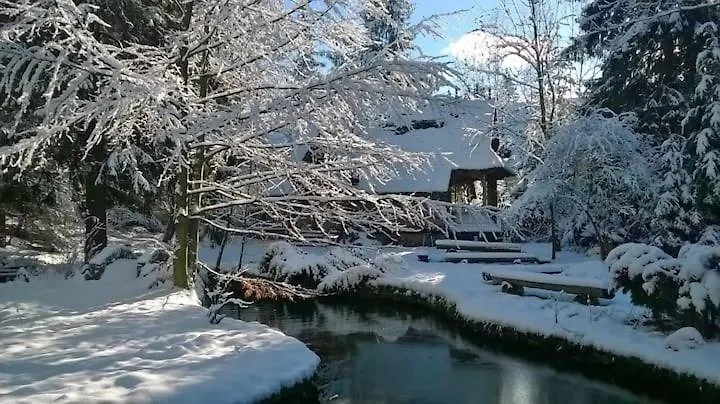 Chalet Domek Raj Zakopane