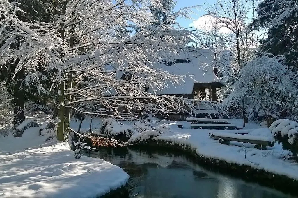 Domek Raj Zakopane Chalet